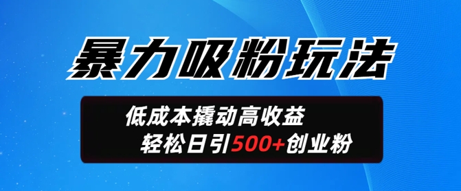暴力吸粉玩法，日引500+精准创业粉，日变现轻松多张-伊亚库