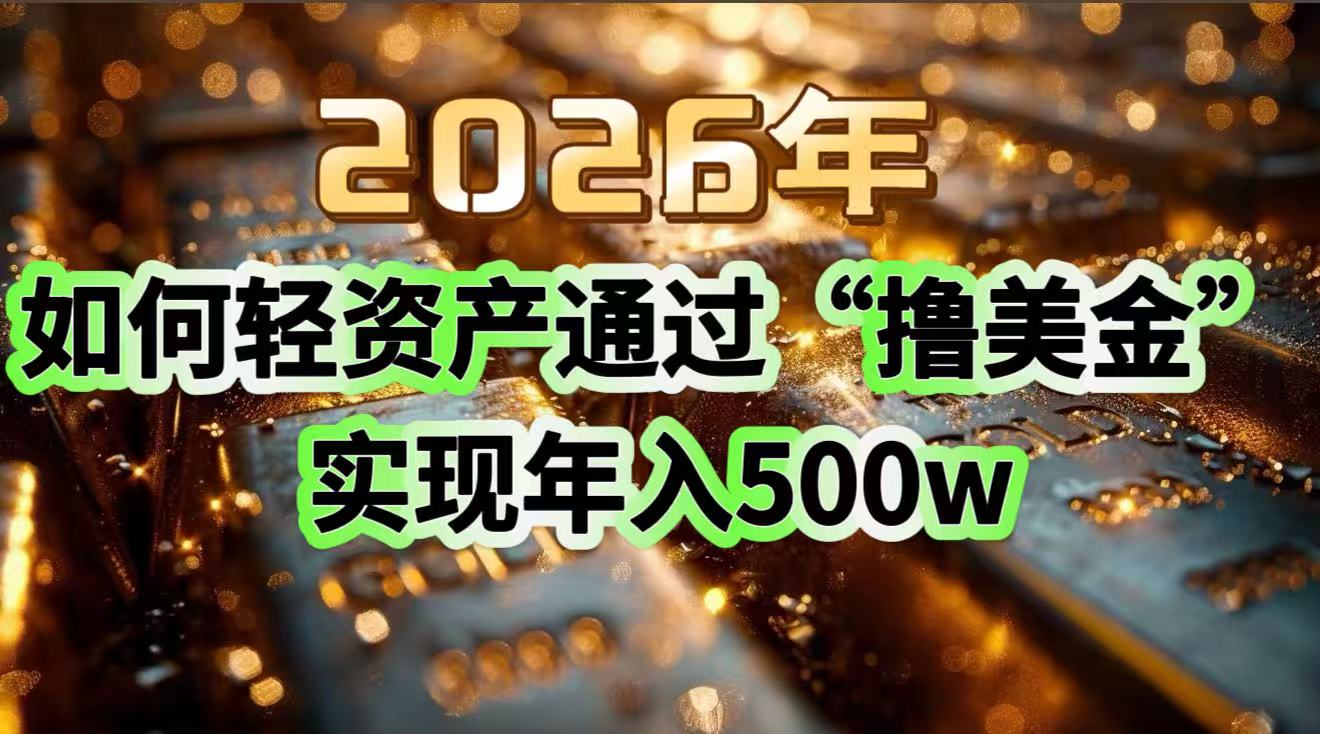 2026年如何轻资产通过“撸美金”实现年入500w-伊亚库