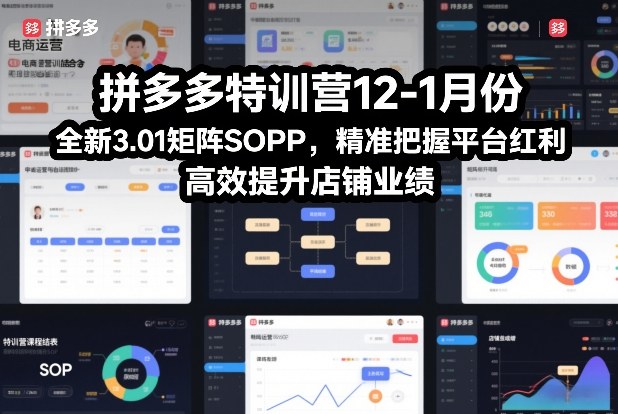 拼多多特训营12-1月份，全新3.01矩阵Sop，精准把握平台红利，高效提升店铺业绩-伊亚库
