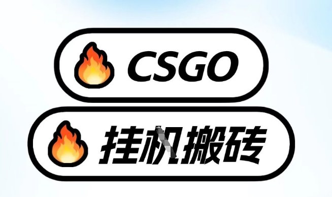 真全网独家CSGO挂G，最新玩法,单日捡漏1K+，不用电脑，不用打游戏【揭秘】-伊亚库