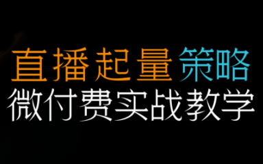半野老师·直播带货起量与微付费必学课视频号(更新2026)-伊亚库