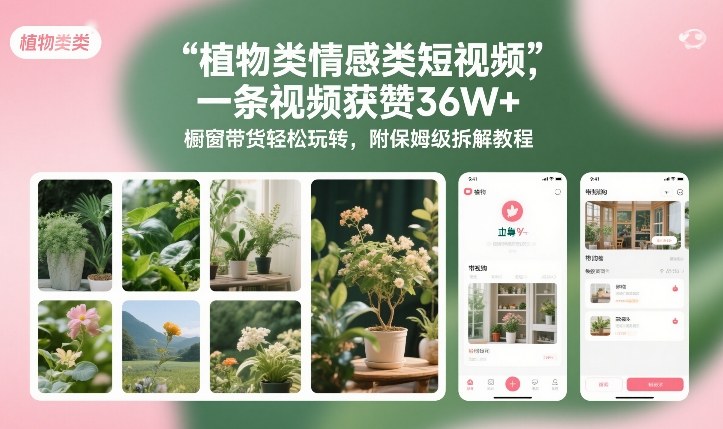 植物类情感类短视频，一条视频获赞36W+，橱窗带货轻松玩转，附保姆级拆解教程-伊亚库