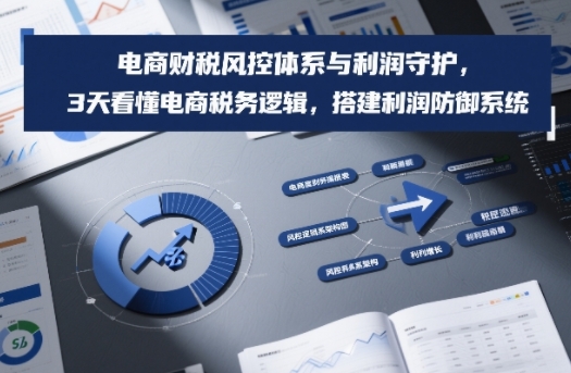 电商财税风控体系与利润守护，3天看懂电商税务逻辑，搭建利润防御系统-伊亚库