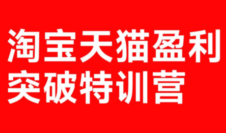 玺承·淘宝天猫盈利突破特训营(25年12月线下课)【音频+字幕】-伊亚库