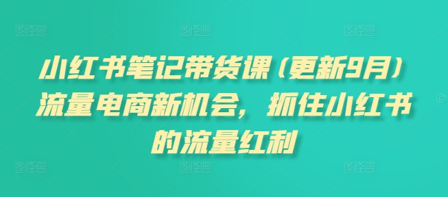 小红书笔记带货课,流量电商新机会,抓住小红书的流量红利(更新26年2月)