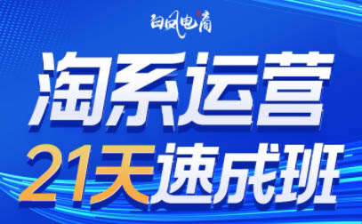 白凤电商·淘系运营21天速成班(更新2月)-伊亚库