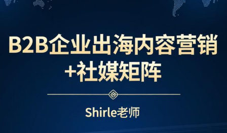 shirle老师·B2B企业出海内容营销+社媒矩阵-伊亚库