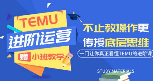 阿卡林·TEMU运营课程(基础+进阶)-伊亚库
