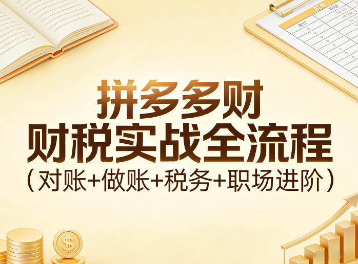 拼多多财税实战全流程(对账+做账+税务+职场进阶)-伊亚库