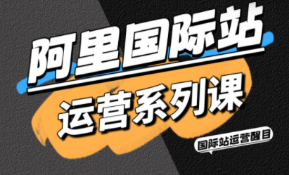 醒目老师·阿里国际站运营系列课(更新3月)-伊亚库