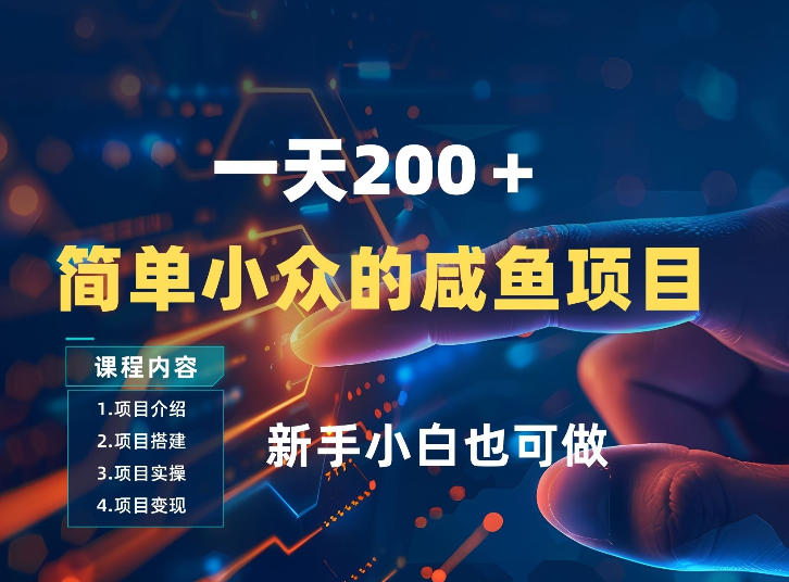 一天收入2张，一个简单小众的咸鱼项目，0门槛小白也能做-伊亚库