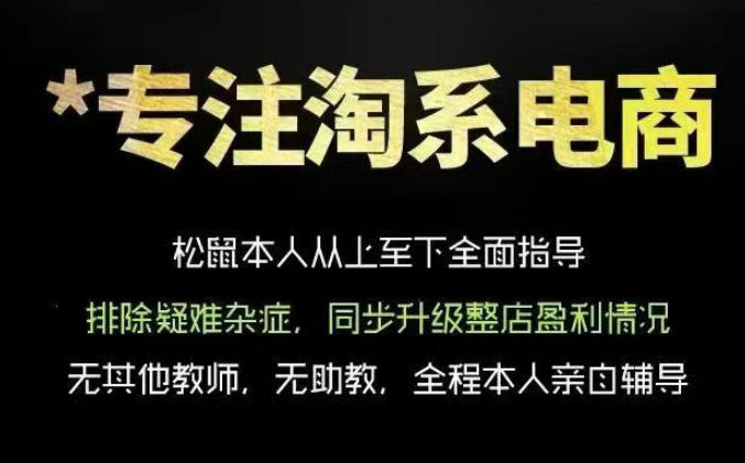 松鼠会电商VIP课程,从基础布局到高阶优化,助你掌握淘宝运营逻辑,提升店铺流量与转化(更新0711)