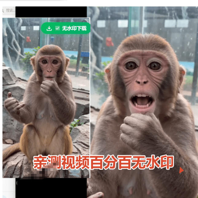 豆包无水印下载终于来了!支持豆包图片/视频,目前唯一免费使用的插件,浏览器拓展