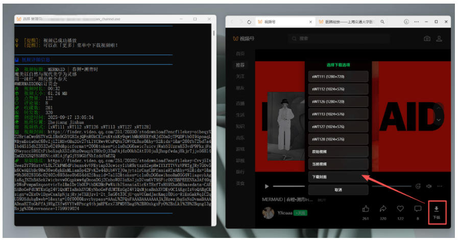 Github热门工具,视频号下载神器又来了!一键注入下载按钮,轻松下载,使用便捷wx_channel