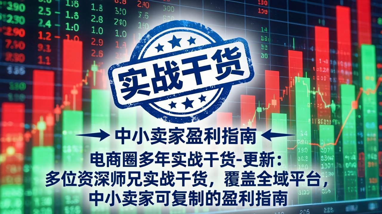 电商圈多年实战干货-更新2026：多位资深师兄实战干货/覆盖全域平台，中小卖家可复制的盈利指南-伊亚库