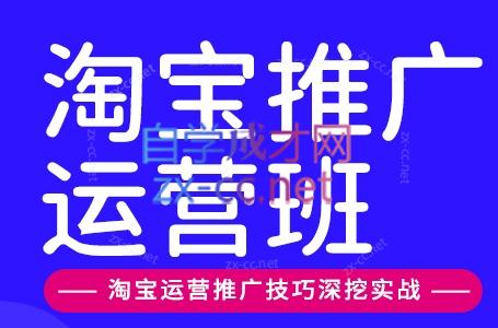 美迪电商·淘宝高级运营班+推广运营班(更新9月)-伊亚库
