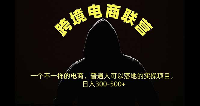 跨境电商联营，一个不一样的电商，普通人可操作日入300-500+-伊亚库
