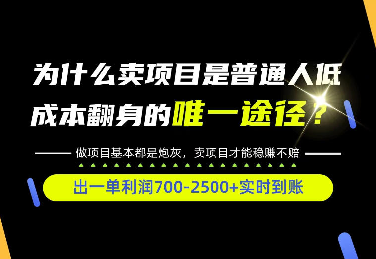 普通人如何靠互联网賺取自己的第一桶金！全类目实操型教学，看完你全都懂了！【揭秘】-伊亚库