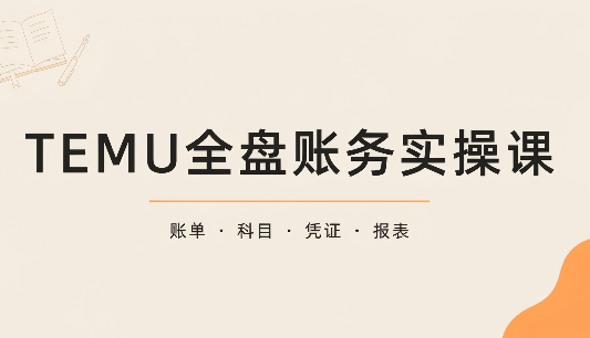 TEMU全盘账务实操课：账单导出、科目设置、利润核算-伊亚库
