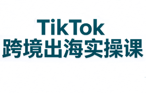 彭老师·TikTok跨境出海实操课-伊亚库