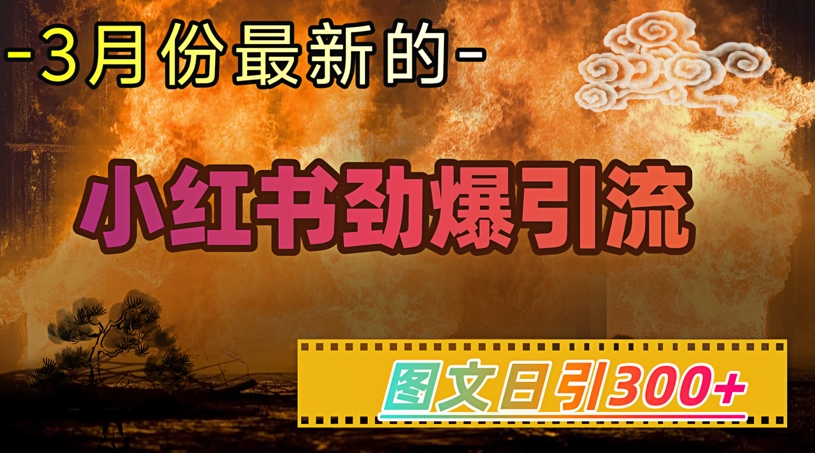 小红书超劲爆引流手段，图文日引300+轻松变现1W-伊亚库