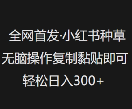 全网首发，小红书种草无脑操作，复制黏贴即可，轻松日入3张-伊亚库