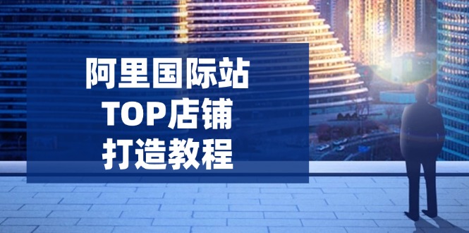 （14269期）阿里国际站TOP店铺打造教程：涵盖平台到高阶，解决运营难题，提升询盘-伊亚库