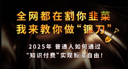 知识付费如何做到月入过W+，2025我来教你做“镰刀”【揭秘】-伊亚库