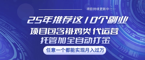 25年推荐这10个副业项目包含褂鸡类、代运营托管类、全自动打金类【揭秘】-伊亚库