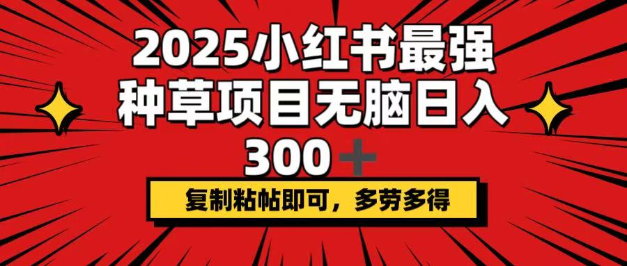 （14375期）2025小红书最强种草项目，无脑日入300+，复制粘帖即可，多劳多得-伊亚库