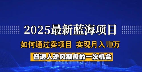 2025蓝海项目，普通人如何通过卖项目，实现月入过W，全过程【揭秘】-伊亚库