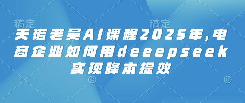 天诺老吴AI课程2025年，电商企业如何用deeepseek实现降本提效-伊亚库