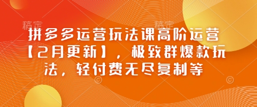 拼多多运营玩法课高阶运营【2月更新】，极致群爆款玩法，轻付费无尽复制等-伊亚库