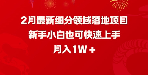 2月最新细分领域落地项目，新手小白也可快速上手，月入1W-伊亚库