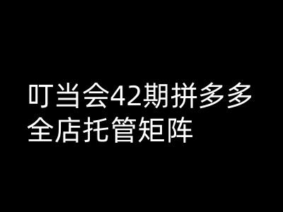 叮当会拼多多打爆班原创高阶技术第42期，拼多多全店托管矩阵-伊亚库
